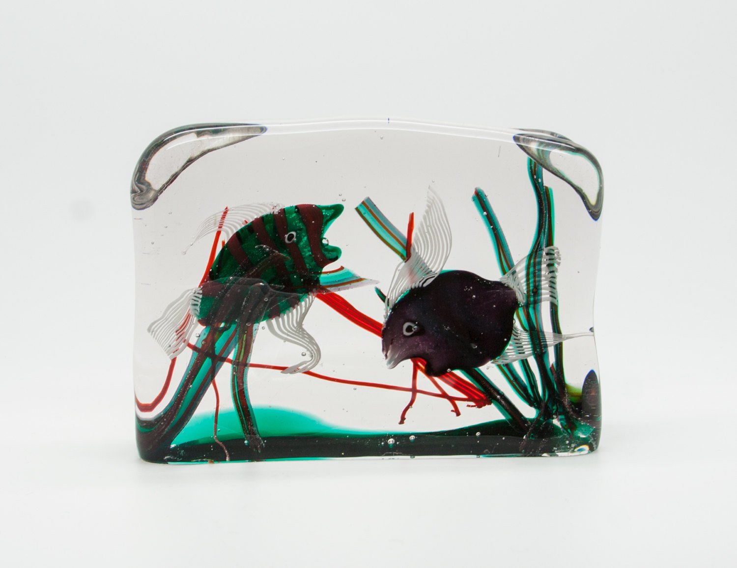 Cenedese AQUARIUM Fish Glass Block Mollaris.com 