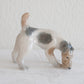 Royal Copenhagen PLATEN HALLERMUNDT Wire Haired Fox Terrier Porcelain Figurine # 3020 Mollaris.com 